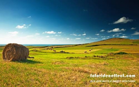 Green field |    - Photostock