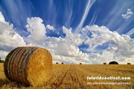 Green field |    - Photostock