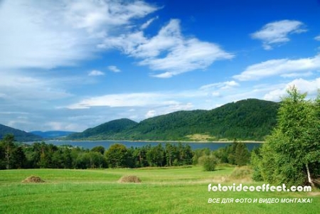 Green field |    - Photostock