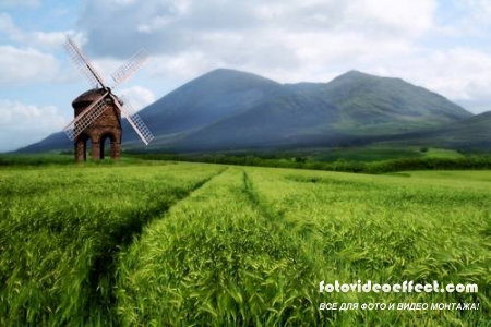 Green field |    - Photostock