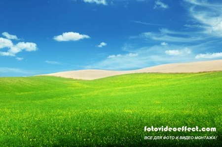 Green field |    - Photostock