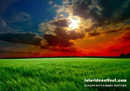 Green field |    - Photostock