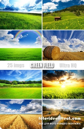 Green field |    - Photostock