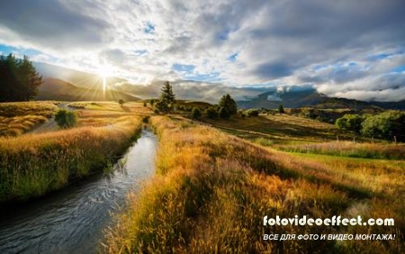 Green field |    - Photostock