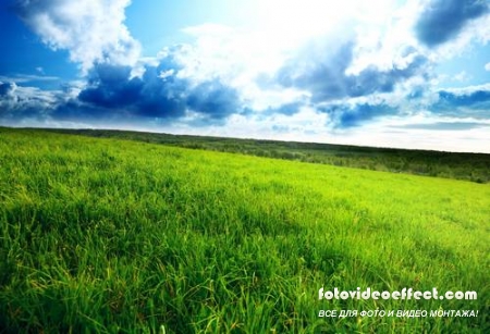 Green field |    - Photostock