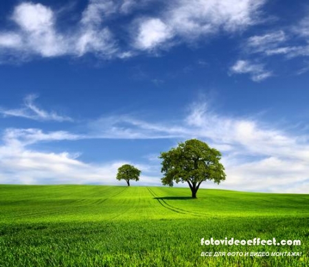 Green field |    - Photostock