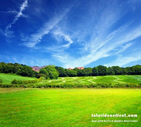 Green field |    - Photostock