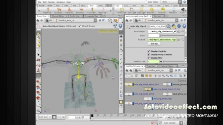 Digital-Tutors - Getting Started with Auto Rigs in Houdini