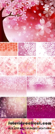 Stock: Floral backgrounds, vector sakura