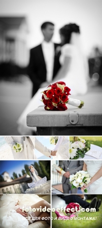 Stock Photo: Bride and groom hands with wedding rings