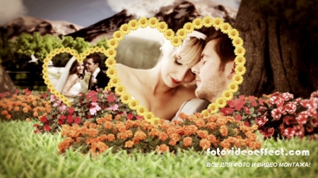Wedding Garden - Project for After Effects (Videohive)