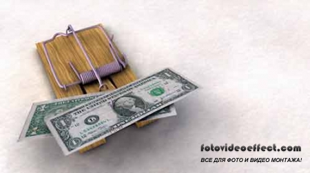 Роскошные  и интересные шутливые обои