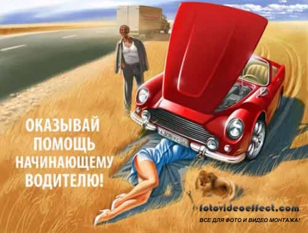Роскошные  и интересные шутливые обои