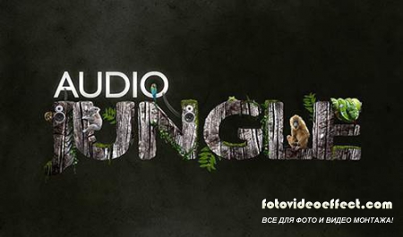 AudioJungle Bundle 2014 vol. 2