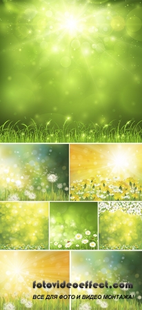 Stock: Vector green leaves on sunshine background