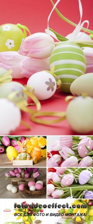 Stock Photo: Easter eggs and spring tulips