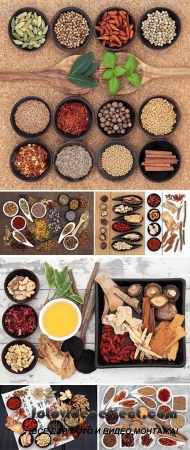 Stock Photo: Chinese Herbal Medicine