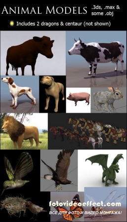 3D Animal Models for 3ds Max