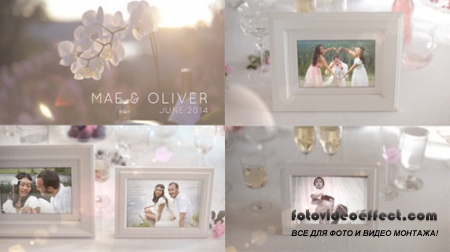 White Photo Gallery - Special Events - Project for After Effects (Videohive)