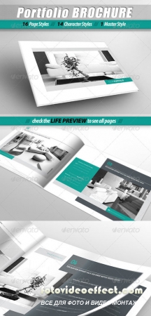 Portfolio Brochure