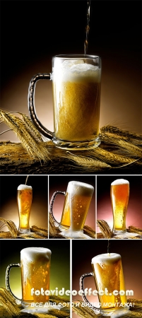 Stock Photo: Lager beer