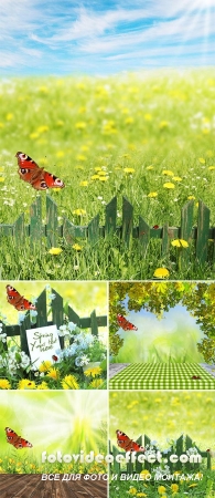 Stock Photo: Spring background, grass and wooden fence