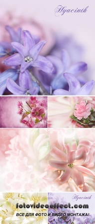  Stock Photo: Seamless Flowers background 