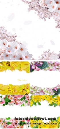Stock Photo: Gentle flowers, flower backgrounds 