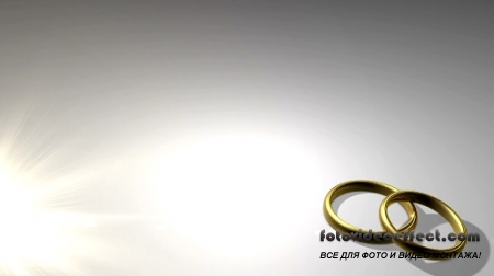    (2) HD / Footage Wedding Rings (2) HD