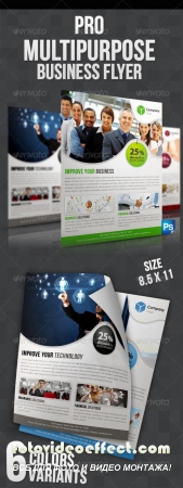 Pro Multipurpose Business Flyer