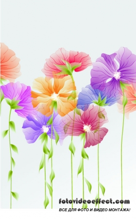 Exquisite Flowers Vector