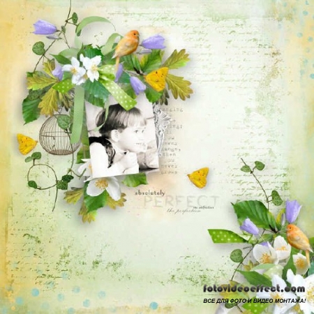 - - My little bird