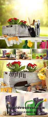 Stock Photo: Garden tools