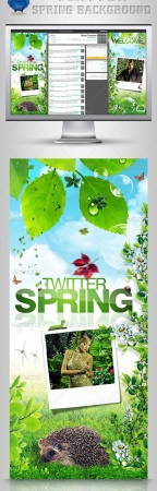 Twitter Background | Spring