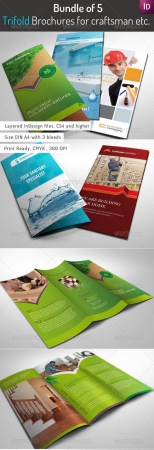 Bundle of 5 Trifold Brochures