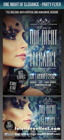 One Night Of Elegance Party Flyer