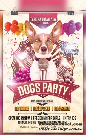 Dogs Party Flyer