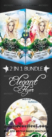 Elegant Flyer Bundle: 2 in 1