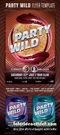 Party Wild Flyer