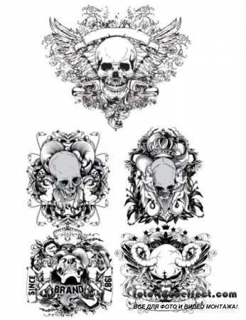 Skull and crossbones label 01 - vector