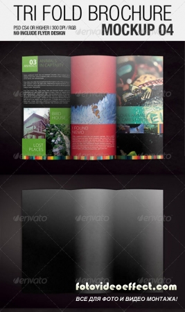 Tri Fold Brochure Mockup 04