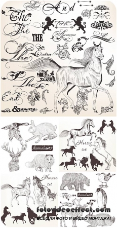 Animals and design elements vector