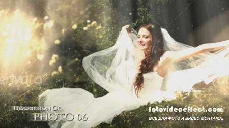  - Golden Wedding - After Effects (Videohive)