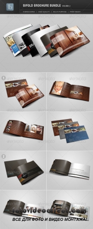 Bifold Brochure Bundle | Volume 2