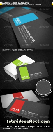 Clean Professional Business Card