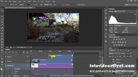 Editing Video With Photoshop Training Video with Jeff Sengstack