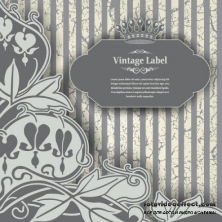 Classic pattern label - vector