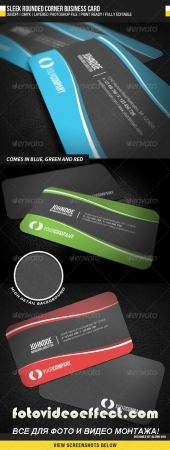 Sleek Rounded Corner Business Card 