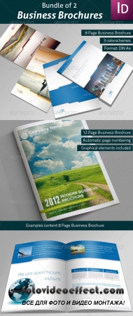 Bundle of 2 Business Brochures