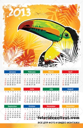 Tropical Bird 2013 Calendar